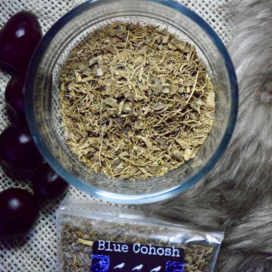 Blue Cohosh