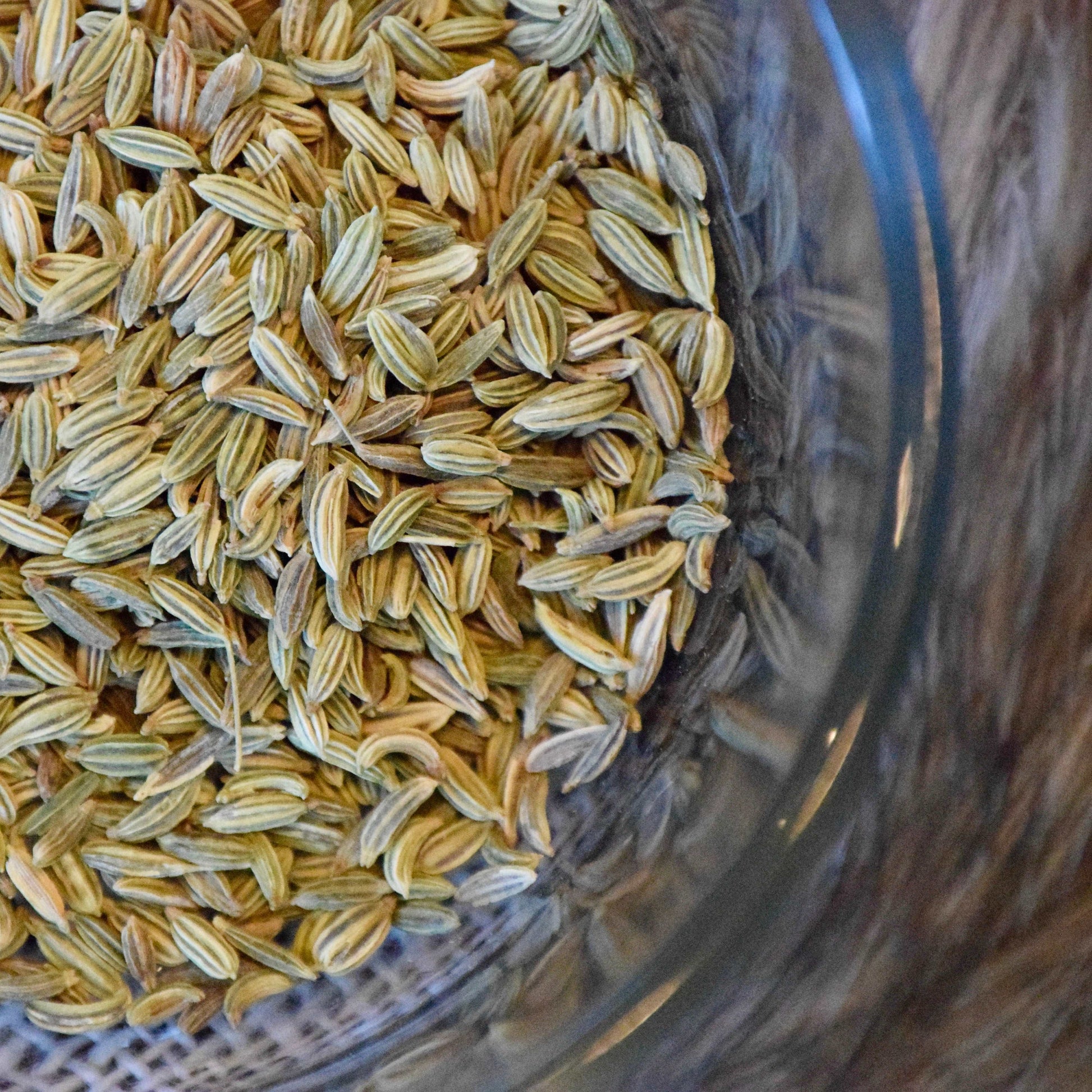 Fennel Seeds