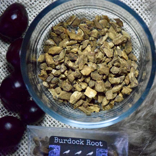 Burdock Root