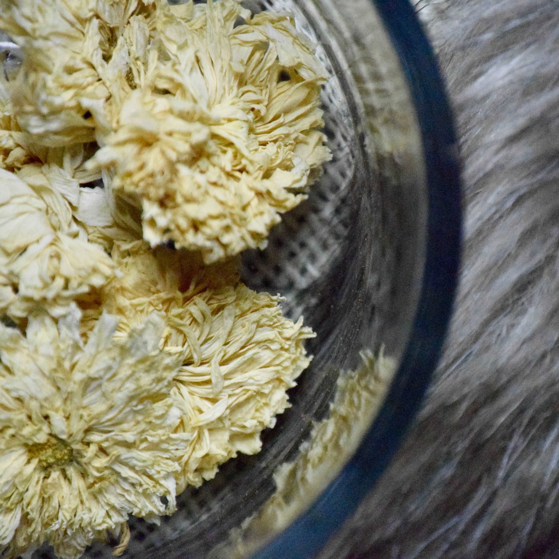 Chrysanthemum Flowers