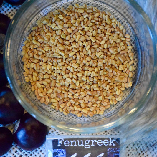 Fenugreek