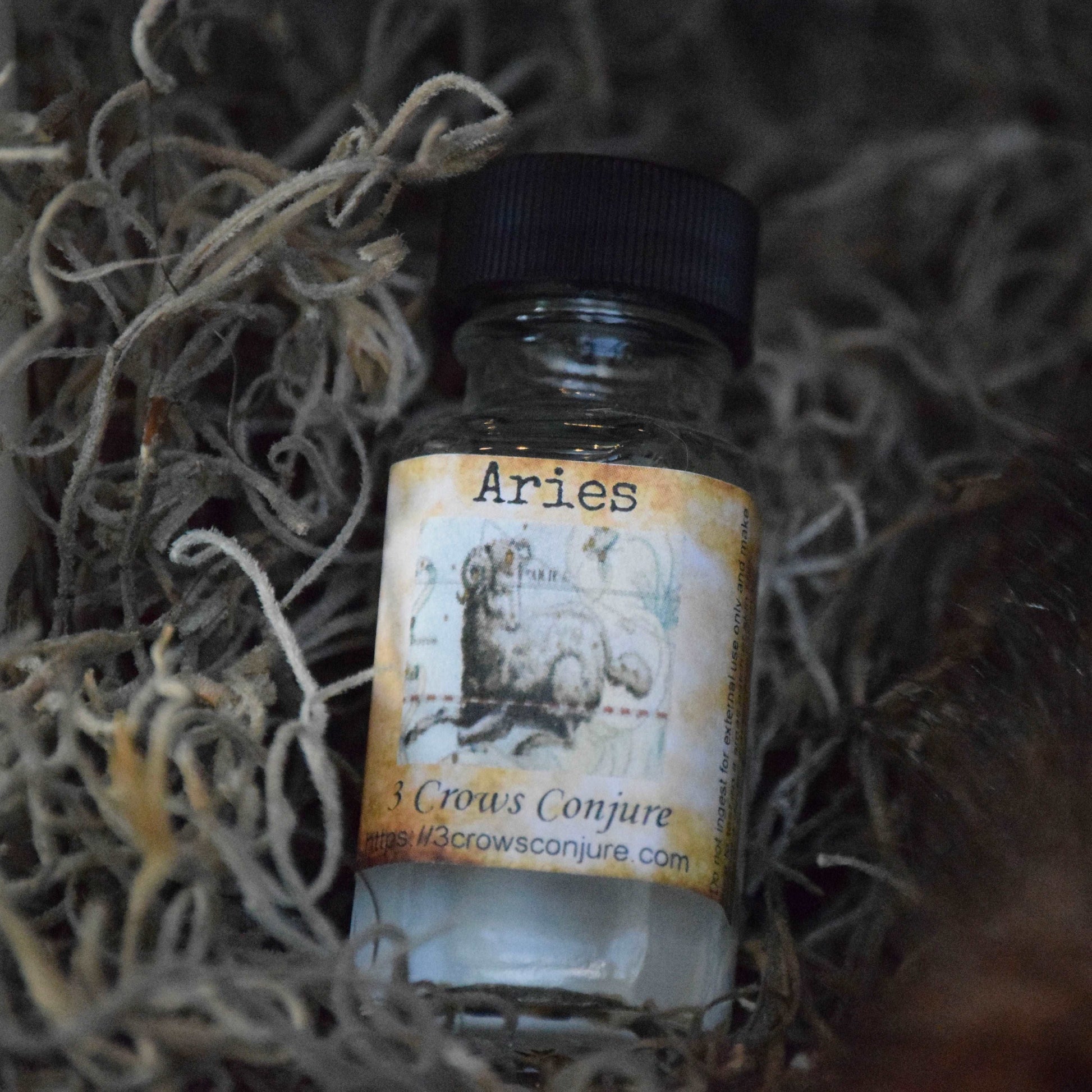 Aries Oil