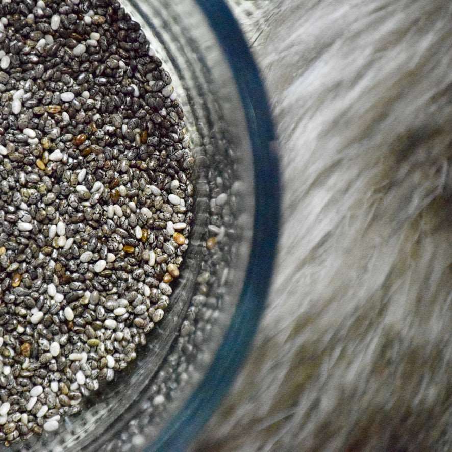 Chia Seeds