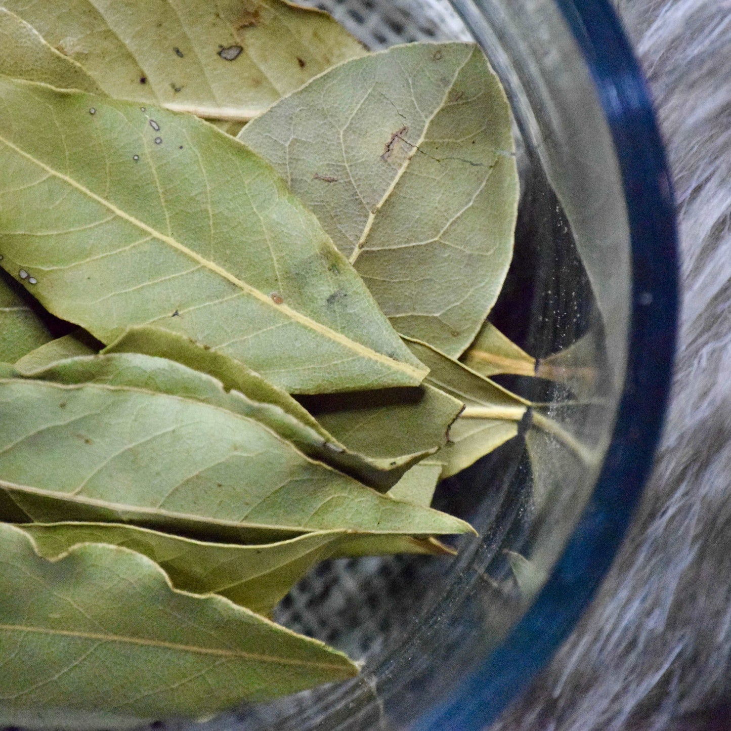 Bay Leaves