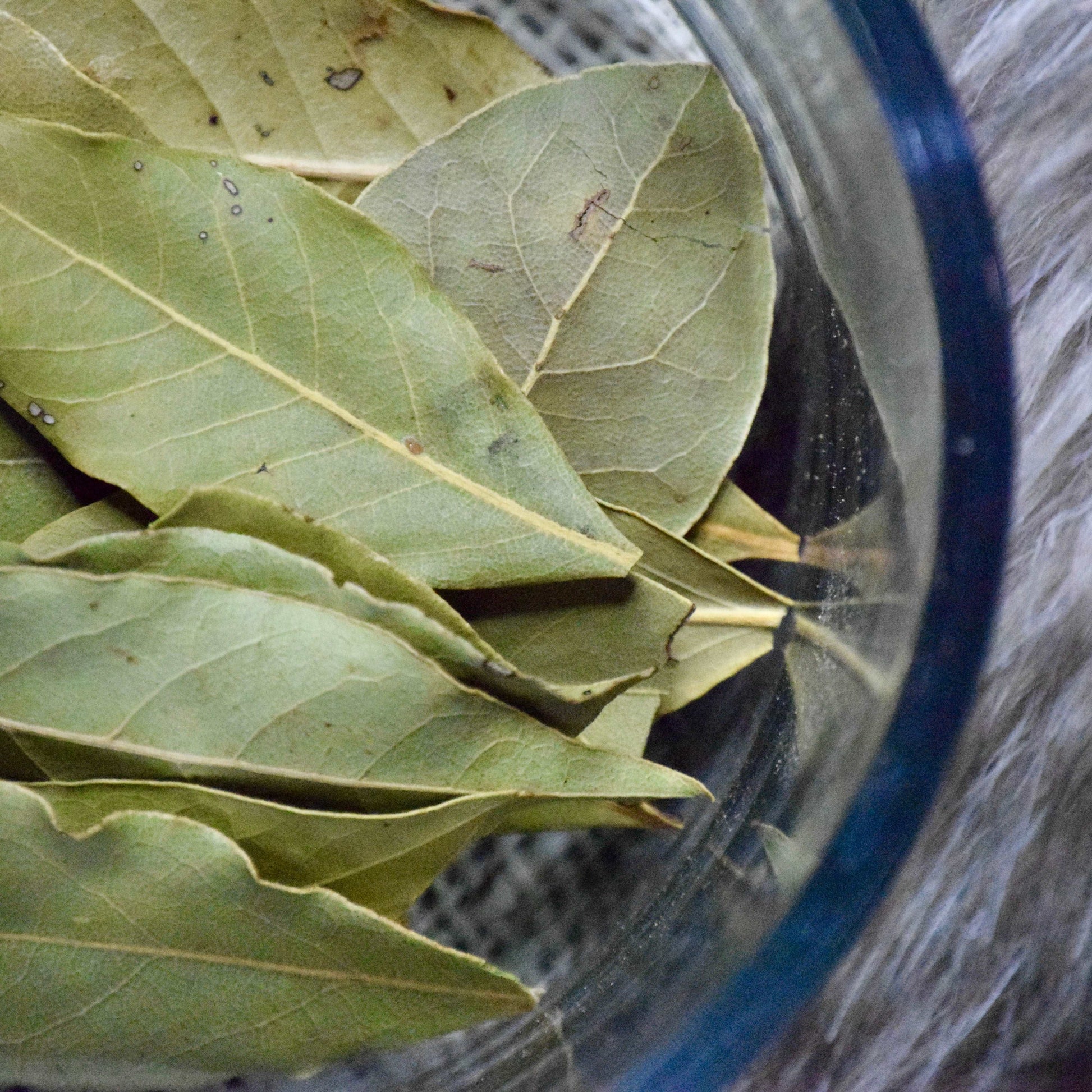 Bay Leaves