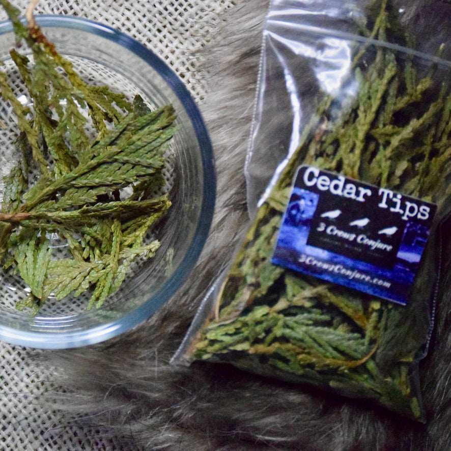 Cedar Tips